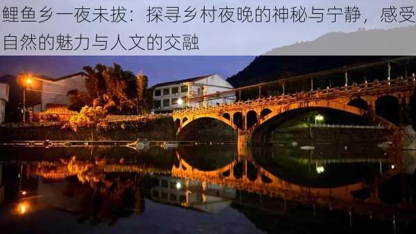 鲤鱼乡一夜未拔：探寻乡村夜晚的神秘与宁静，感受自然的魅力与人文的交融