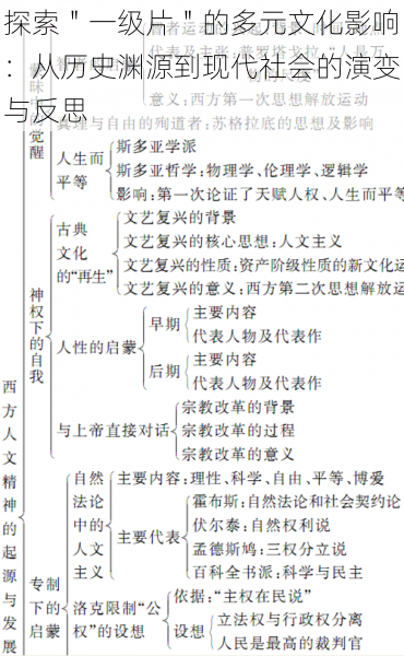 探索＂一级片＂的多元文化影响：从历史渊源到现代社会的演变与反思