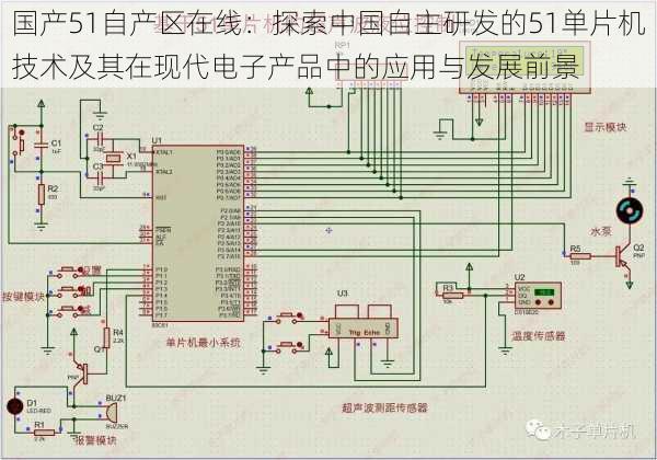 国产51自产区在线：探索中国自主研发的51单片机技术及其在现代电子产品中的应用与发展前景