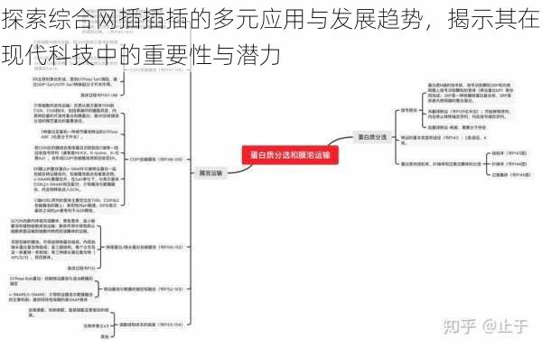 探索综合网插插插的多元应用与发展趋势，揭示其在现代科技中的重要性与潜力