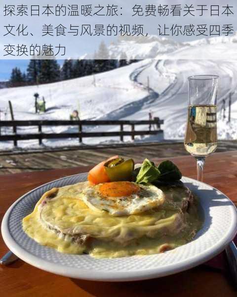 探索日本的温暖之旅：免费畅看关于日本文化、美食与风景的视频，让你感受四季变换的魅力