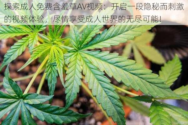 探索成人免费含羞草AV视频：开启一段隐秘而刺激的视频体验，尽情享受成人世界的无尽可能！