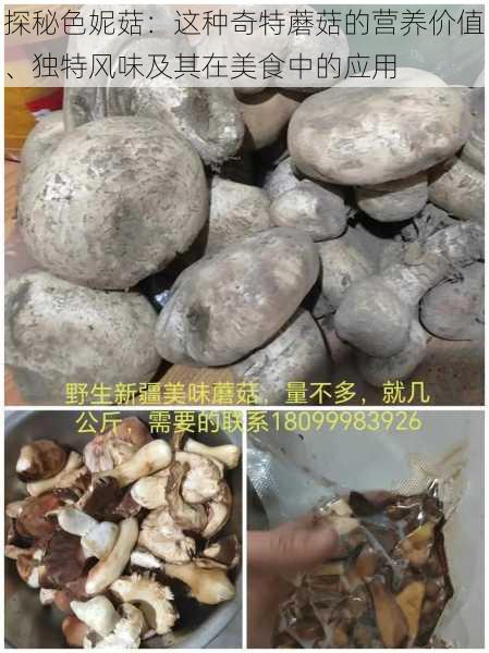 探秘色妮菇：这种奇特蘑菇的营养价值、独特风味及其在美食中的应用