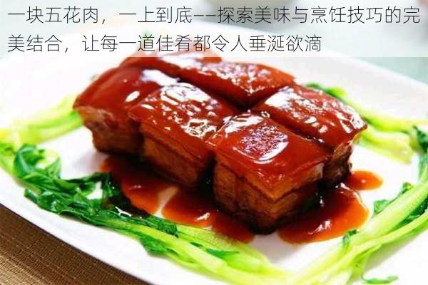 一块五花肉，一上到底——探索美味与烹饪技巧的完美结合，让每一道佳肴都令人垂涎欲滴