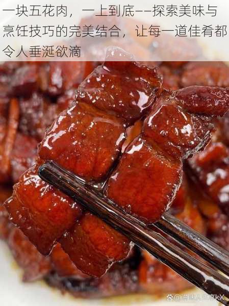 一块五花肉，一上到底——探索美味与烹饪技巧的完美结合，让每一道佳肴都令人垂涎欲滴