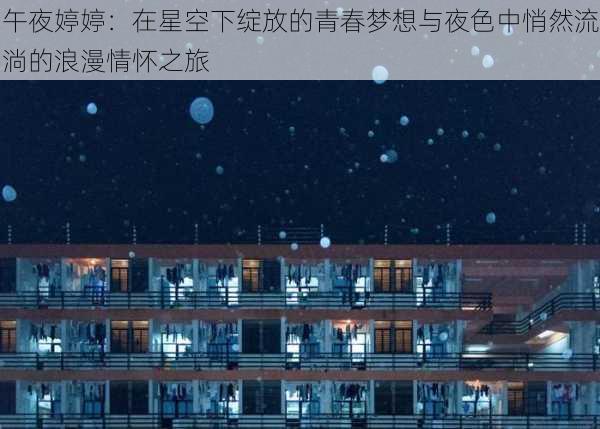 午夜婷婷：在星空下绽放的青春梦想与夜色中悄然流淌的浪漫情怀之旅