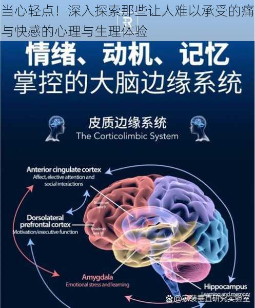 当心轻点！深入探索那些让人难以承受的痛与快感的心理与生理体验