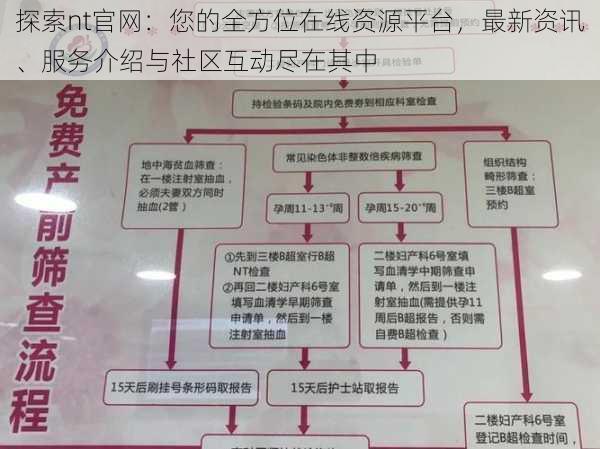 探索nt官网：您的全方位在线资源平台，最新资讯、服务介绍与社区互动尽在其中