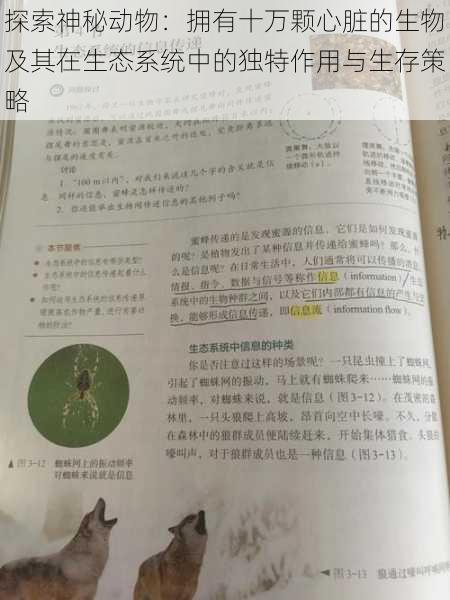 探索神秘动物：拥有十万颗心脏的生物及其在生态系统中的独特作用与生存策略