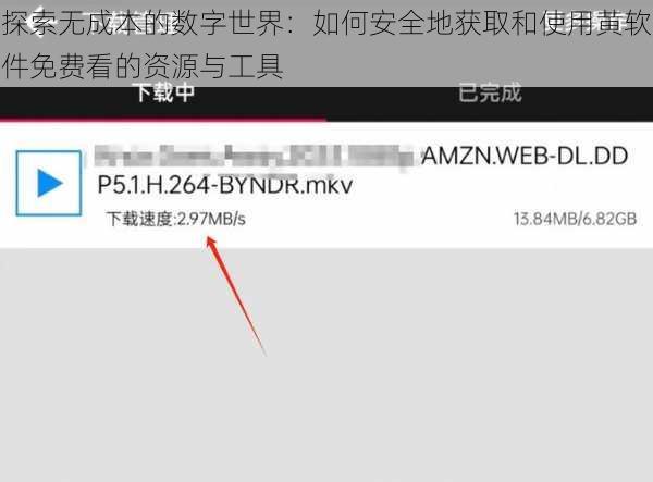 探索无成本的数字世界：如何安全地获取和使用黄软件免费看的资源与工具