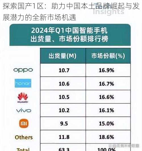 探索国产1区：助力中国本土品牌崛起与发展潜力的全新市场机遇