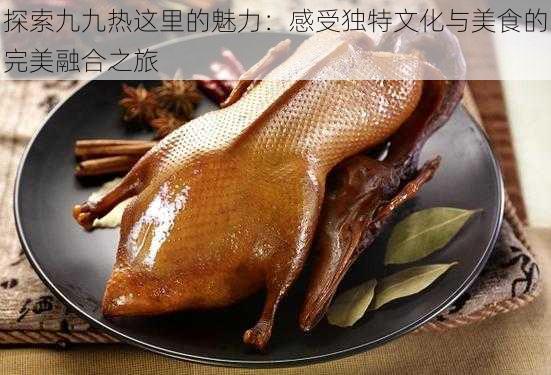 探索九九热这里的魅力：感受独特文化与美食的完美融合之旅