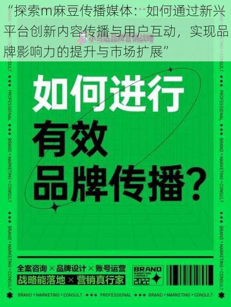 “探索m麻豆传播媒体：如何通过新兴平台创新内容传播与用户互动，实现品牌影响力的提升与市场扩展”