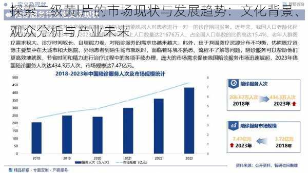 探索二级黄l片的市场现状与发展趋势：文化背景、观众分析与产业未来