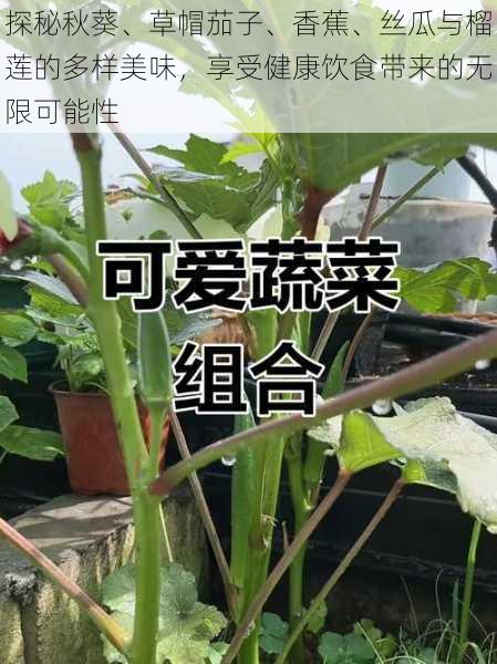 探秘秋葵、草帽茄子、香蕉、丝瓜与榴莲的多样美味，享受健康饮食带来的无限可能性