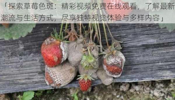 「探索草莓色斑：精彩视频免费在线观看，了解最新潮流与生活方式，尽享独特视觉体验与多样内容」