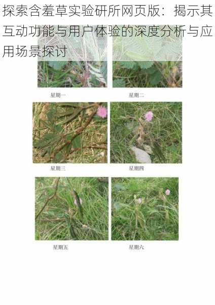 探索含羞草实验研所网页版：揭示其互动功能与用户体验的深度分析与应用场景探讨