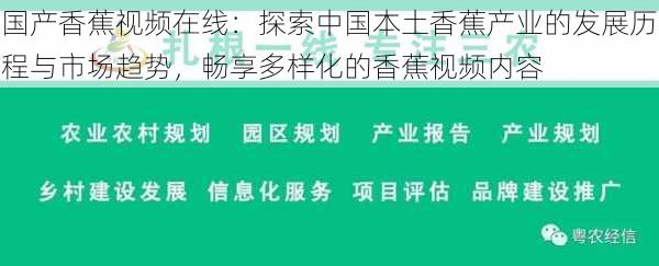 国产香蕉视频在线：探索中国本土香蕉产业的发展历程与市场趋势，畅享多样化的香蕉视频内容