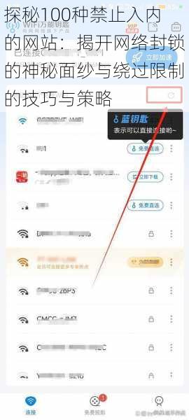 探秘100种禁止入内的网站：揭开网络封锁的神秘面纱与绕过限制的技巧与策略