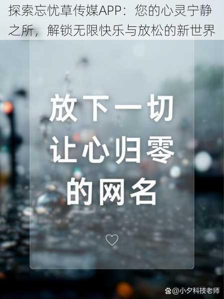 探索忘忧草传媒APP：您的心灵宁静之所，解锁无限快乐与放松的新世界