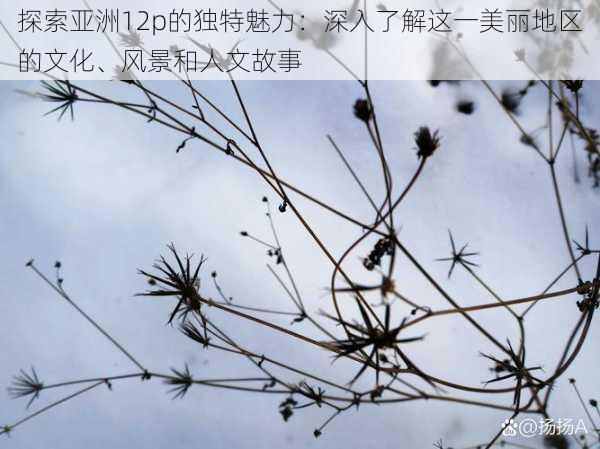 探索亚洲12p的独特魅力：深入了解这一美丽地区的文化、风景和人文故事