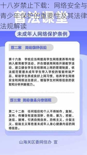 十八岁禁止下载：网络安全与青少年保护的重要性及其法律法规解读