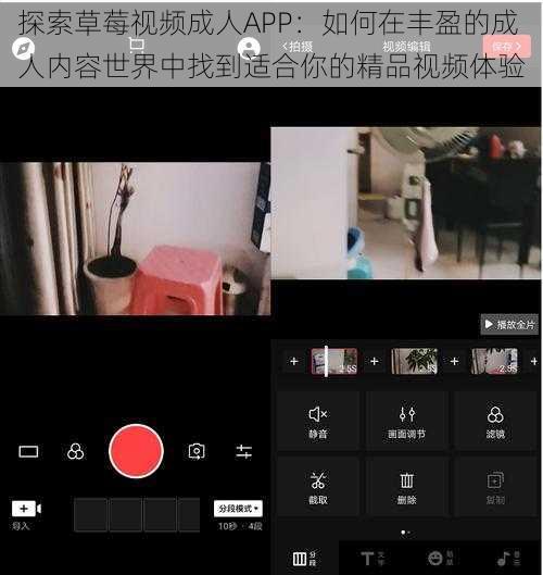 探索草莓视频成人APP：如何在丰盈的成人内容世界中找到适合你的精品视频体验