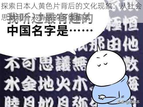 探索日本人黄色片背后的文化现象：从社会思潮到个人情感的多维解读