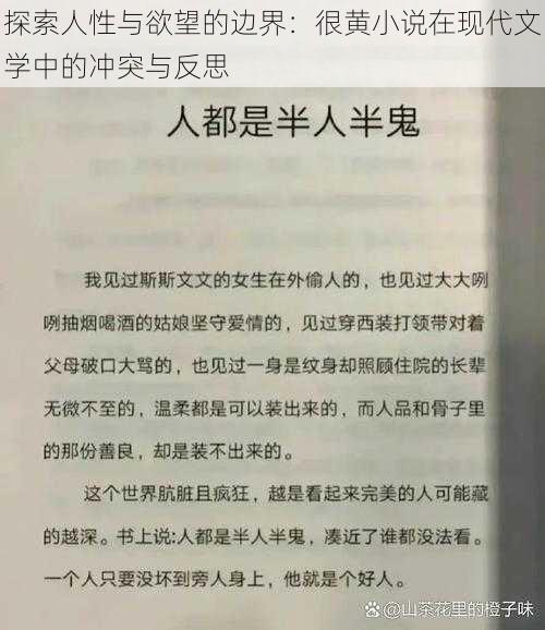 探索人性与欲望的边界：很黄小说在现代文学中的冲突与反思