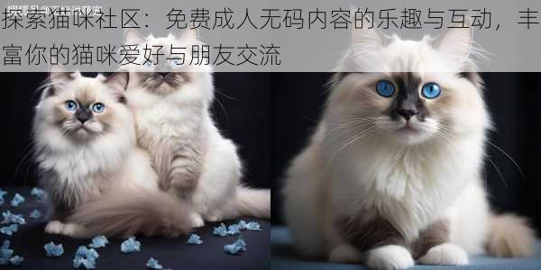 探索猫咪社区：免费成人无码内容的乐趣与互动，丰富你的猫咪爱好与朋友交流