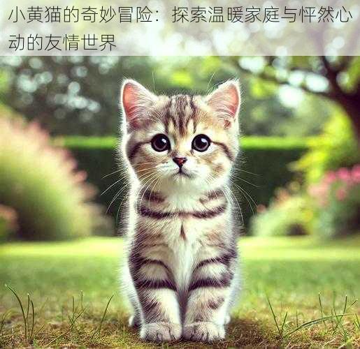 小黄猫的奇妙冒险：探索温暖家庭与怦然心动的友情世界