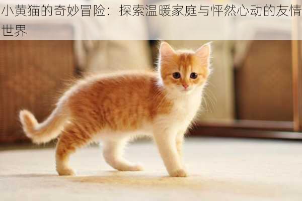 小黄猫的奇妙冒险：探索温暖家庭与怦然心动的友情世界