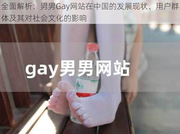 全面解析：男男Gay网站在中国的发展现状、用户群体及其对社会文化的影响