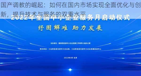 国产调教的崛起：如何在国内市场实现全面优化与创新，提升技术与服务的双重水平