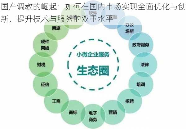 国产调教的崛起：如何在国内市场实现全面优化与创新，提升技术与服务的双重水平