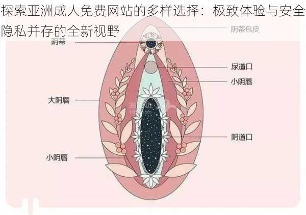 探索亚洲成人免费网站的多样选择：极致体验与安全隐私并存的全新视野