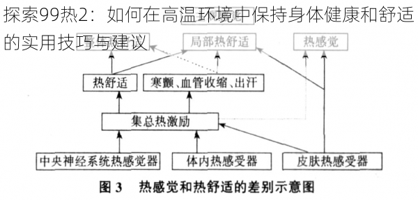 探索99热2：如何在高温环境中保持身体健康和舒适的实用技巧与建议