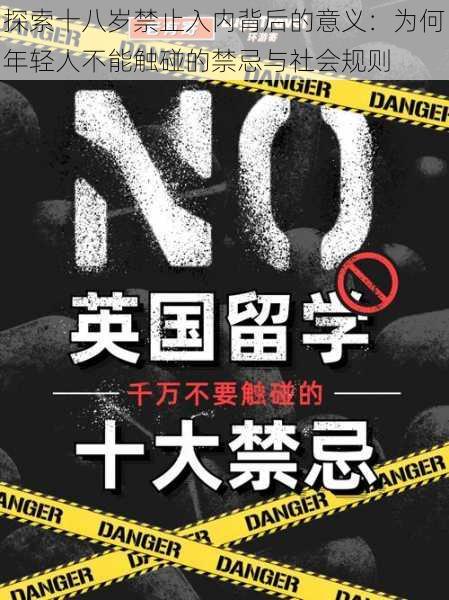 探索十八岁禁止入内背后的意义：为何年轻人不能触碰的禁忌与社会规则