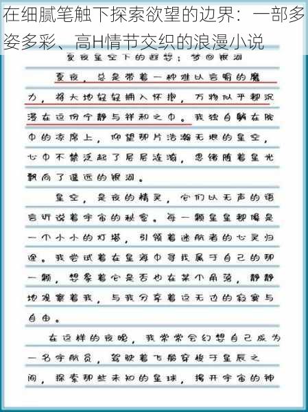 在细腻笔触下探索欲望的边界：一部多姿多彩、高H情节交织的浪漫小说