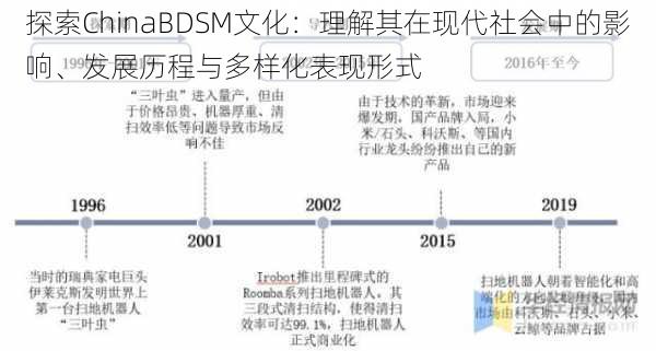 探索ChinaBDSM文化：理解其在现代社会中的影响、发展历程与多样化表现形式