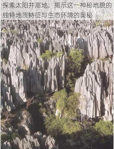 探索太阳井高地：揭示这一神秘地貌的独特地质特征与生态环境的奥秘