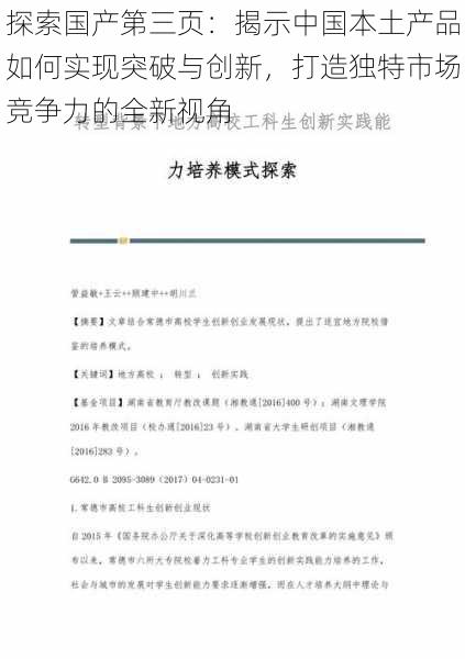 探索国产第三页：揭示中国本土产品如何实现突破与创新，打造独特市场竞争力的全新视角