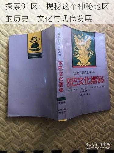 探索91区：揭秘这个神秘地区的历史、文化与现代发展