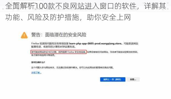 全面解析100款不良网站进入窗口的软件，详解其功能、风险及防护措施，助你安全上网