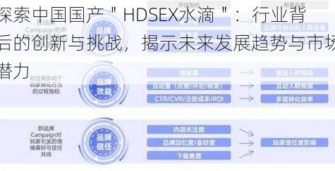 探索中国国产＂HDSEX水滴＂：行业背后的创新与挑战，揭示未来发展趋势与市场潜力