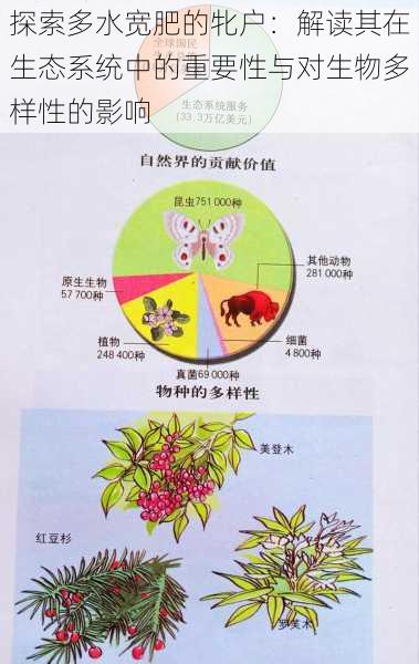 探索多水宽肥的牝户：解读其在生态系统中的重要性与对生物多样性的影响