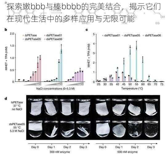 探索嫩bbb与榛bbbb的完美结合，揭示它们在现代生活中的多样应用与无限可能