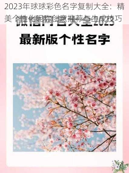 2023年球球彩色名字复制大全：精美个性化昵称创意推荐与生成技巧