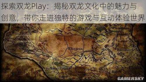 探索双龙Play：揭秘双龙文化中的魅力与创意，带你走进独特的游戏与互动体验世界