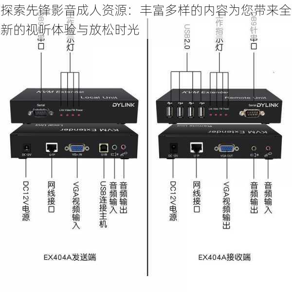 探索先锋影音成人资源：丰富多样的内容为您带来全新的视听体验与放松时光